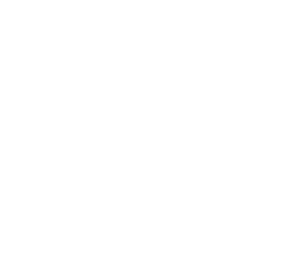 Logo von Fink Garage